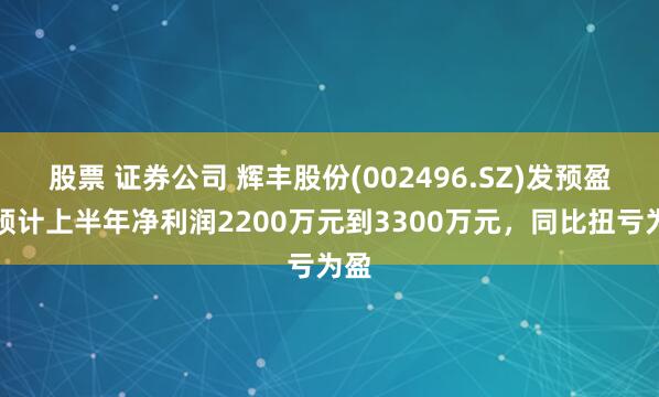 股票 证券公司 辉丰股份(002496.SZ)发预盈，预计上半年净利润2200万元到3300万元，同比扭亏为盈